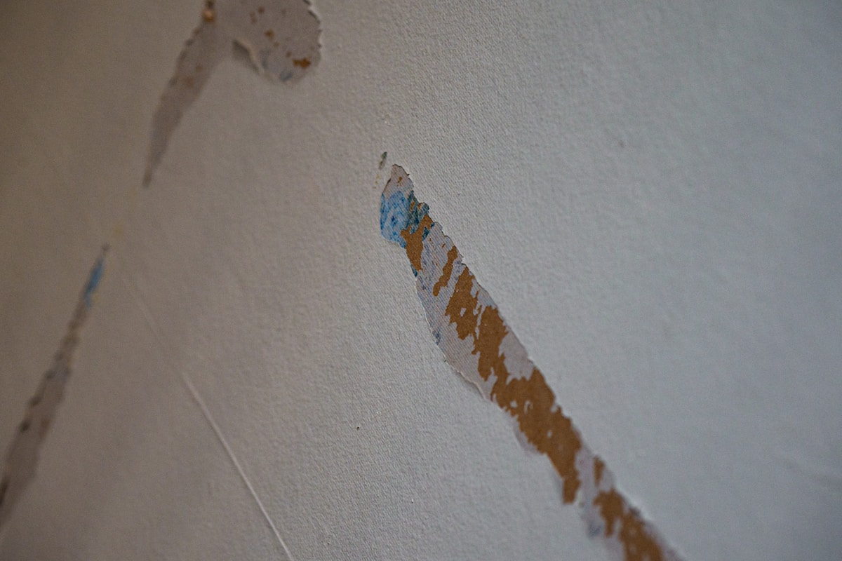 Structural Drying service in Florence, SC